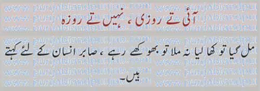 آئی تے روزی ,
aaee te rozi,
کہاوت, اکھوت, اکھان, ضرب المثل, حکایت,ہدایت,مقولہ,proverb, 