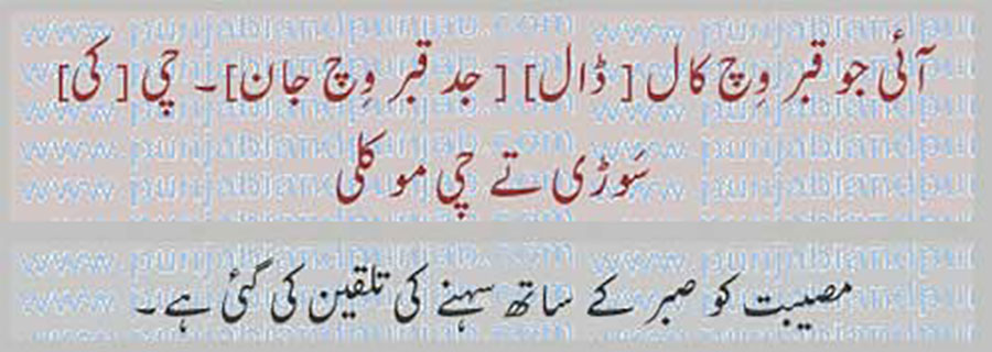 کہاوت, اکھوت, اکھان, ضرب المثل, حکایت,ہدایت,مقولہ,proverb, ،,
آئی جو قبر وِچ,,
aaee jo qabar wich