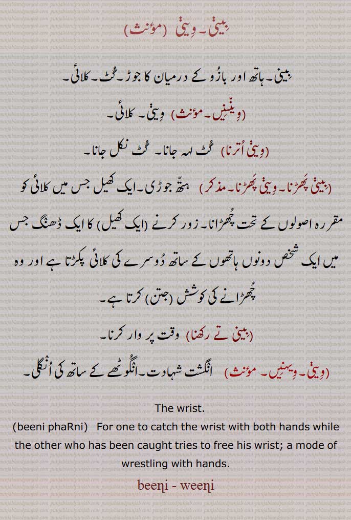 بِینی,وِینی,بینی,وینی,ویننیں,کلائی,وینی اترنا,بینی پھڑنا,وینی پھڑنا, کھیل,بینی تے رکھنا,ویہنیں, The wrist,beeni phaRni, وینی, بینی ,  bini,beeni, ਵੀਣੀ,wini ,weeni ,  ਬੀਣੀ,