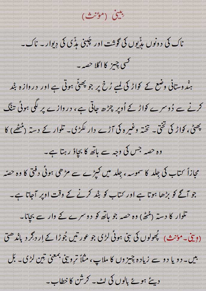 بینی ,وینی,The nose of any thing;  beeni, ਬੀਨੀ