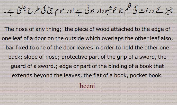 بینی ,وینی,The nose of any thing;  beeni, ਬੀਨੀ