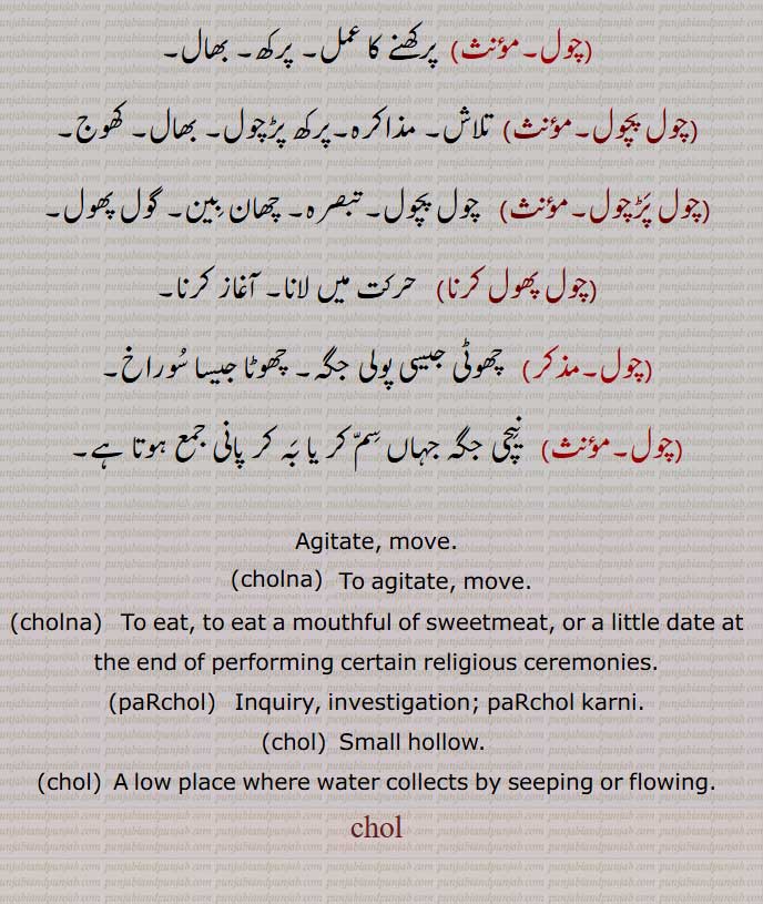 Agitate, move,cholna,paRchol,   Inquiry, investigation; paRchol karni,chol,  Small hollow, A low place ,chol, 
چول, ਚੋਲ, ਚੋਲਨਾ ,ਪਰਚੋਲ, parchol , chol,cholna,,چولنا,پڑچول,