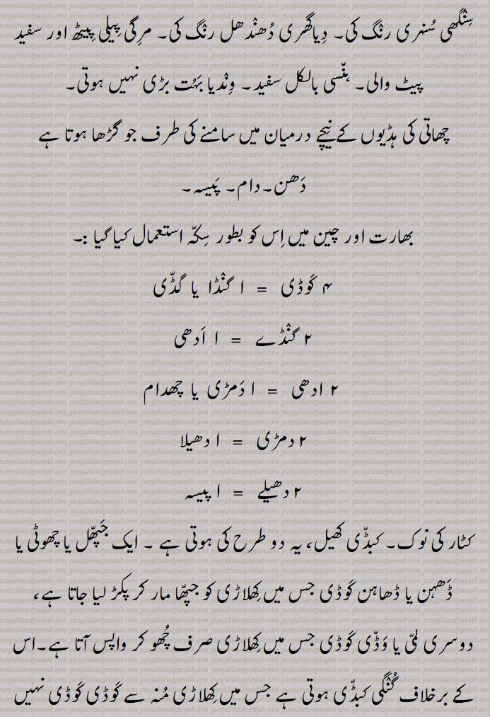 کوڈاں دے بھا وکنا,کوڈی  قسمیں  ,کوڈی باڈی,کوڑی,کوڈی بھر,کوڈ بھر اعتبار نہ ہونا,کوڈی پلے نہ ہونا,کوڈی پاس نہ ہونا,کوڈی پچھے مسیت ڈھانا,کوڈی پھیرا کرنا,کوڈی توں نہ پچھنا,کوڈی جوڑا,
