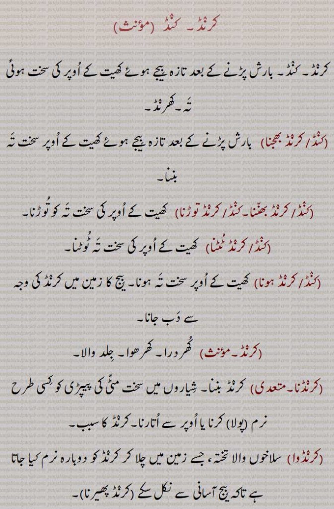  کرنڈ,  کنڈ , بارش پڑنے کے بعد تازہ  بیجے ہوئے کھیت کے اوپر کی سخت ہوئی تہ,کھرنڈ,
 کنڈ بھجنا, کرنڈ بھجنا,کنڈ بھننا, کرنڈ بھننا,کنڈتوڑنا,کرنڈ توڑنا,کنڈ ٹٹنا, کرنڈ ٹٹنا,کنڈہونا, کرنڈ , ہتھیاروں کی دھار تیز کرنے والا پتھر, کرل پتھر, سان پتھری,ایک قسم کا معدنی پتھر جو جمی ہوئی ریت کی طرح کسی قدر نرم ہوتا ہے ,کرنڈیا,   کھیت کا کرنڈ ہونا, 