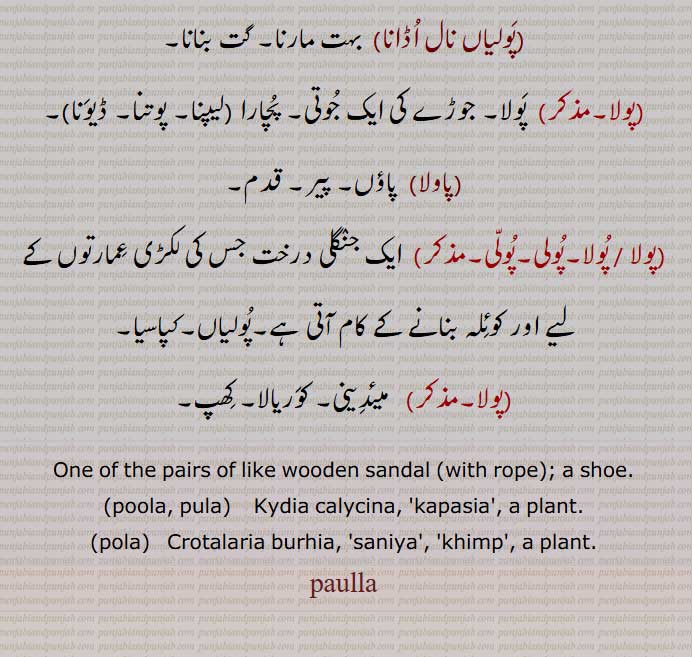   a shoe, poola, pula,   Kydia calycina, 'kapasia', a plant, pola, Crotalaria burhia, saniya ,  khimp ,  paulla, ਪੌਲਾ, پولا , پولا پرشاد , پوہل پرشاد,  پولا کھڑکنا, پولی, پولے پینا, پولے پینیاں واری نہ آنا   , پولے تلے گزران کرنا,  پاولا, پولی , پولیاں,کپاسیا,  میئدینی, کوریالا, کھپ,