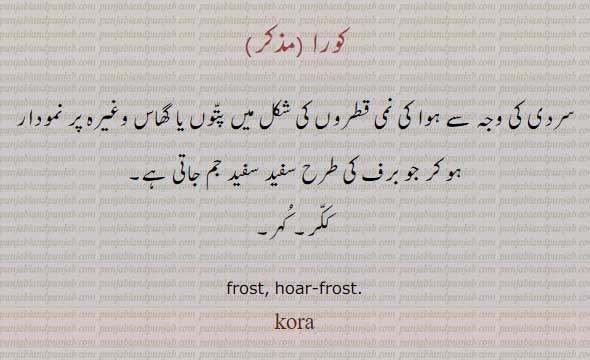 کورا,,kora, ਕੋਰਾ,frost,hoar frost, برف کی طرح سفید سفید. , ,کہر,ککر 