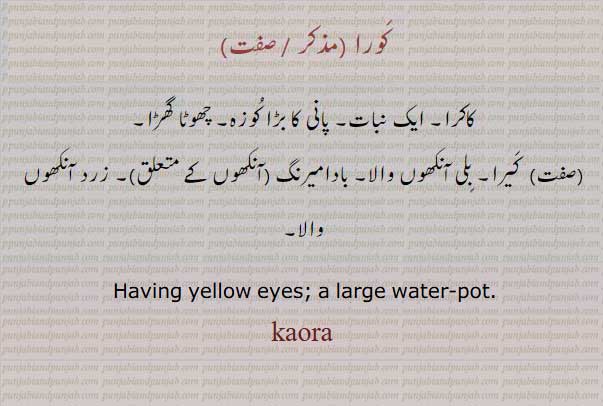 ਕੌਰਾ kaura, kaora,کَورا, Having yellow eyes;A large water-pot, کاکرا,کوزہ,کیرا,بادامیرنگ,