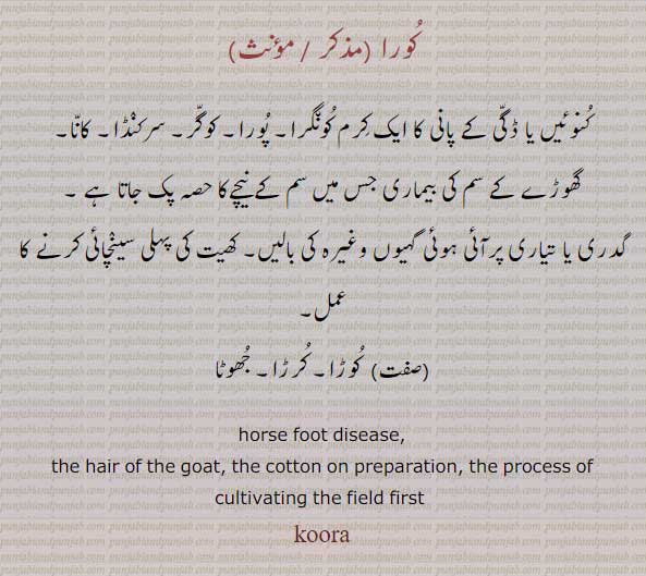  کُورا,koora, kura,کورا, horse foot disease, cultivatinng th field first,
    ,کرم کونگرا,سرکنڈا,کانا,سم کے  نیچے,جھوٹا,کرڑا   