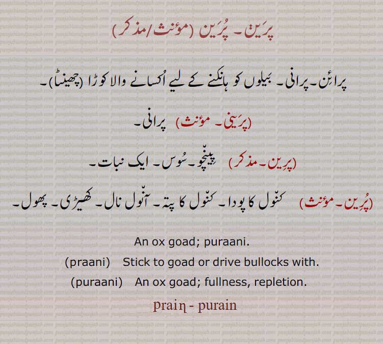 پرینی ,پرین,پرائن,پراین,parain,paraain, ਪ੍ਰੈਣ,ਪਰਯઽ, ਪਰਾਇਣ, paraani, ਪਰਾਣੀ, puraani, ਪੁਰਾਇਣ,parini, 