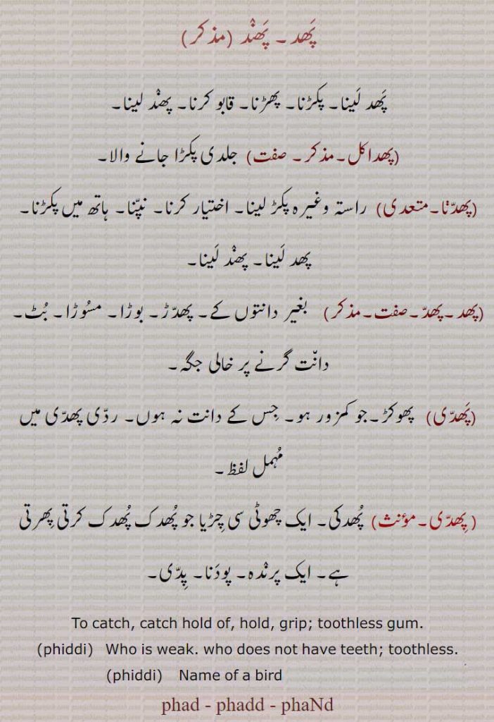  پھد, پھند,phad,ਫ਼ਿਦ, ਫੰਦ,  پھد, پھند,phad,ਫ਼ਿਦ, ਫੰਦ,to catch, grip, toothless gum,,phaddi,پھدی, پھداکل۔پھدنا۔ 
پکڑنا۔ پھڑنا۔ پھند لینا۔راستہ پکڑنا۔ دانت کے بغیر مسوڑا۔ بوڑا۔ پھوکڑ۔ ۔ ایک پرندہ۔ پدی۔ پودنا۔ چھوٹی چڑیا۔
to catch,hold, toothless gum, who is weak, name of bird,