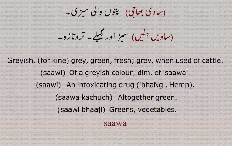 Greyish, (for kine) grey, green, fresh; grey, when used of cattle,saawi, saawi, sawa kachuch, sawi bhaaji,
ساوا,ساوی ,saawa,saawi, ਸਾਵੀ, ਸਾਵਾ