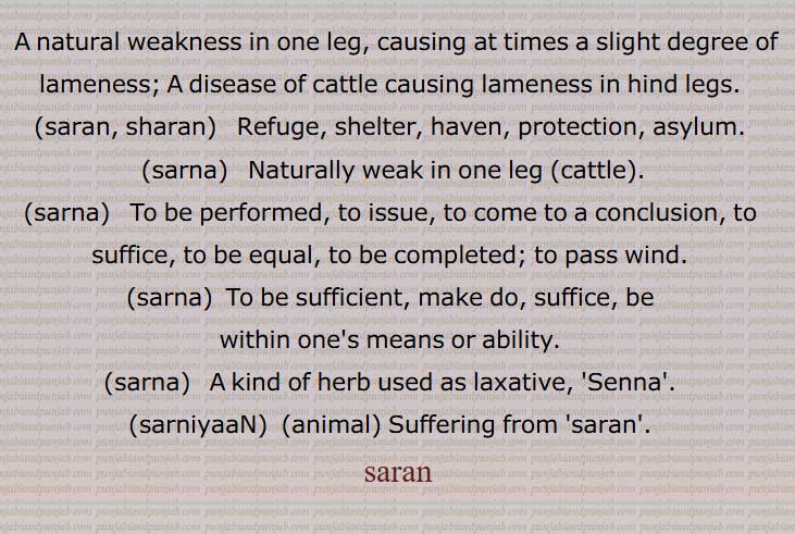 A natural weakness in one leg, causing at times a slight degree of lameness,a disease of cattle causing lameness in hind legs,saran, sharan, ਸਰਨ, ਸ਼ਰਨ , Refuge, shelter,sarna,  ਸਰਨਾ , Naturally weak in one leg ,  To be performed, to issue, to come to a conclusion, ,To be sufficient,,A kind of herb used as laxative,Senna, sarniyaaN, ਸਰਨੀਆਂ,
  saran   ,ਸਰਨ,