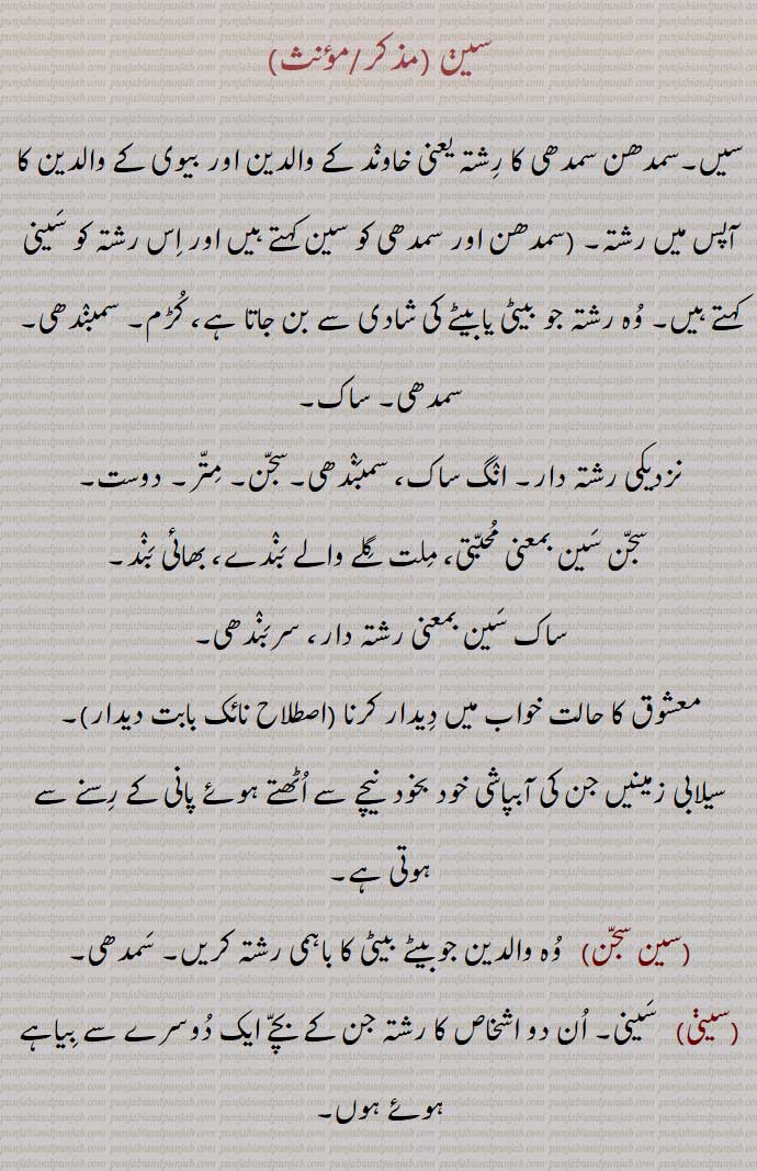 سین,سیں,سمدھن سمدھی کا رشتہ یعنی خاوند کے والدین اور بیوی کے والدین کا آپس میں رشتہ,  سمدھن اور سمدھی کو سین کہتے ہیں اور اس رشتہ کو سینی کہتے ہیں, وہ رشتہ جو بیٹی یا بیٹے کی شادی سے بن جاتا ہے، کڑم, سمبندھی, سمدھی, ساک,نزدیکی رشتہ دار, انگ ساک، سمبندھی,سجن, متر, دوست, سجن سین بمعنی محبتی، ملت گلے والے بندے، بھائی بند,ساک سین بمعنی رشتہ دار، سربندھی,معشوق کا حالت خواب میں دیدار کرنا ,سیلابی زمینیں جن کی آبپاشی خود بخود  نیچے سے اٹھتے ہوئے پانی کے رسنے سے ہوتی ہے,,سین سجن, خدا, عزت کا لفظ, جناب, مالک, مکرم, آقا, حاکم, ناتھ, خاوند, شوہر, شوہ, درویش, فقیر , مست مولا, سوامی, گدا, بھکاری, بڑا, بزرگ, وڈیرہ, جاگیردار, صاحب حیثیت, زمین ملکیت والے لوگ,سیاں, سئٖیاں, ایک درخت, مٹر, ایک اڑنے والی گلہری, 