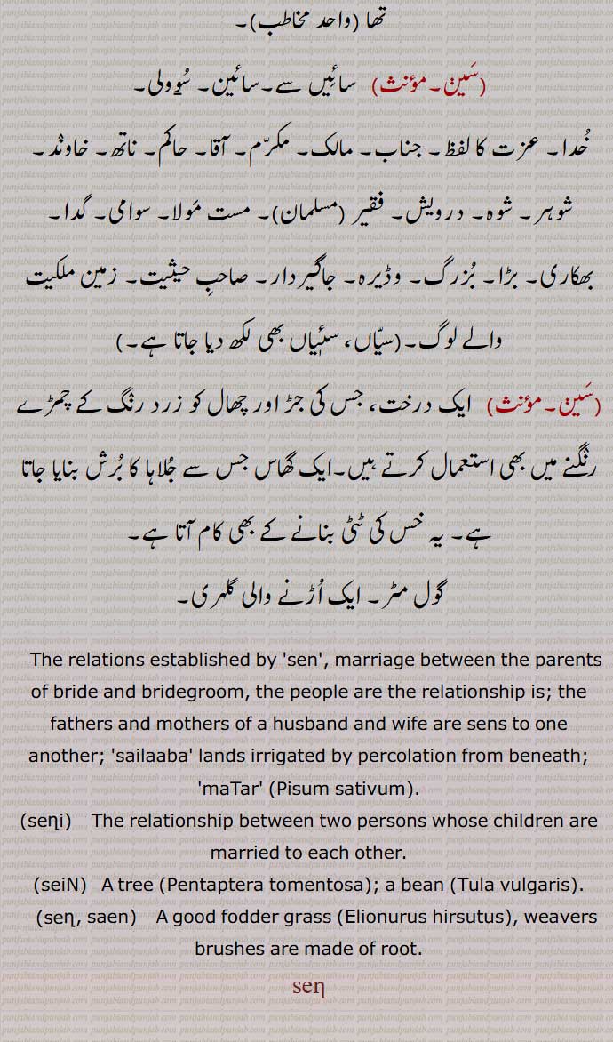 The relations established by 'sen', marriage between the parents of bride and bridegroom, the people are the relationship is; the fathers and mothers of a husband and wife are sens to one another; 'sailaaba' lands irrigated by percolation from beneath,maTar, Pisum sativum, seni, seiN, A tree,Pentaptera tomentosa, Tula vulgaris, senn, saen, grass ,Elionurus hirsutus, sain,  سائیں, saaeeN,ਸੇਨੀ,  سَینی,سینی, ਸੇਨ, سَین, سین, ਸਾਈਂ,  سائیں, sen , 