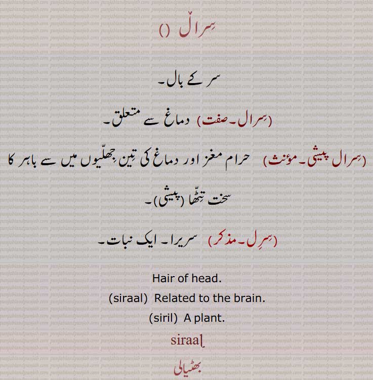 سرال ,سر کے بال, , دماغ سے متعلق,,سرال پیشی,,Hair of head,siraal,  ਸਿਰਾਲ  ,Related to the brain,siril,siraal,    ਸਿਰਾਲ਼,