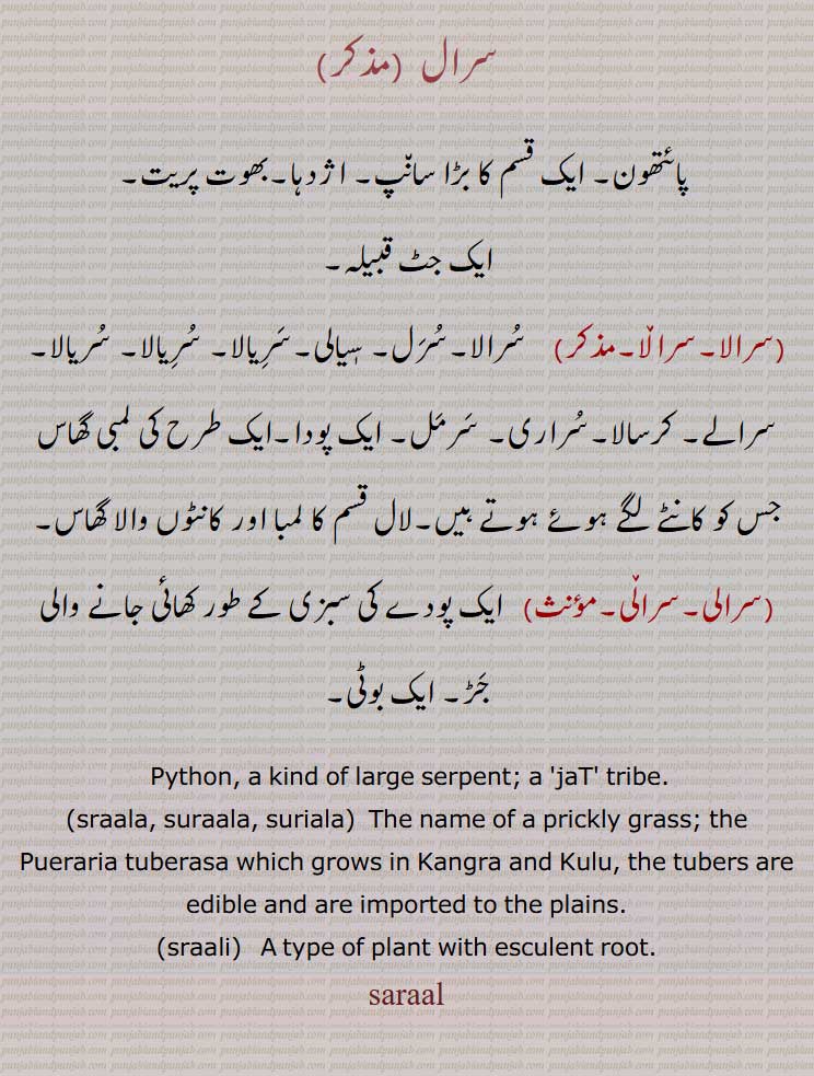 سرال,پائتھون, ایک قسم کا بڑا سانپ, اژدہا,بھوت پریت,
ایک جٹ قبیلہ,,سرالا,سرل, سٖیالی,سریالا, سرالے, کرسالا,سراری, سرمل, ایک پودا,ایک طرح کی لمبی گھاس جس کو کانٹے لگے ہوئے ہوتے ہیں,لال قسم کا لمبا اور کانٹوں والا گھاس,,سرالی, ایک پودے کی سبزی کے طور کھائی جانے والی جڑ, ایک بوٹی,, Python, a kind of large serpent; a  jaT  tribe,sraala, suraala, suriala,ਸਰਾਲਾ, ਸੁਰਾਲਾ ,ਸਰਾਲ਼ਾ ,a prickly grass, Pueraria tuberasa ,sraali, ਸਰਾਲੀ , ਸਰਾਲ਼,plant with esculent root, saraal ,ਸਰਾਲ,
