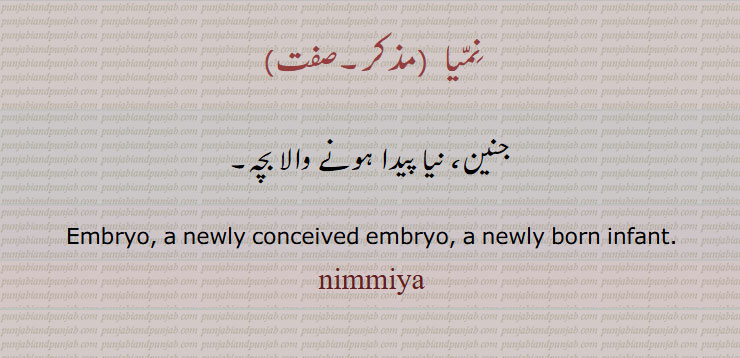 نمیا  ,جنین, نیا پیدا ہونے والا بچہ, Embryo, a newly conceived embryo, a newly born infant,
nimmiya, nimmia,نِمّیا  ,ਨਿੱਮਿਆ,