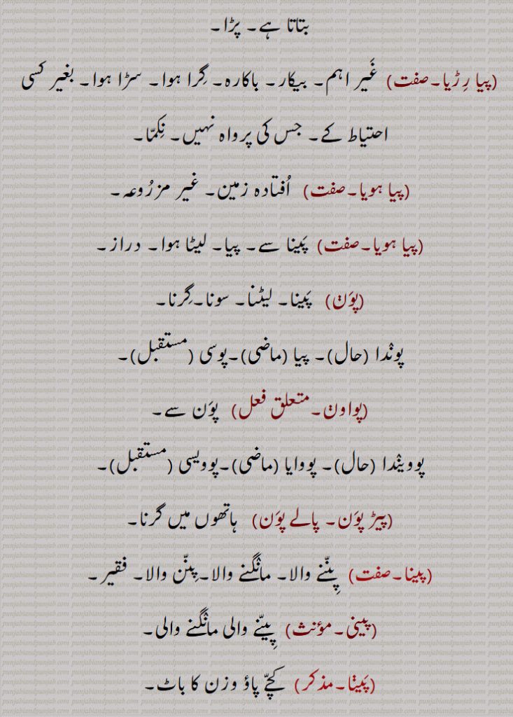 ,پیونا, پیئے,پیا,پیا رڑیا,پیا ہویا,پون, پواون,پیڑ پون, پالے پون,پینی,