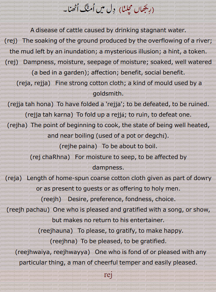 A disease of cattle caused by drinking stagnant water, The soaking of the ground produced by the overflowing of a river; the mud left by an inundation; a mysterious illusion; a hint, a token,reej,reja, rejja,rejja tah hona,rejja tah karna,rejha,rejhe paina,rej chaRhna,
dampness,reja,reejh,   Desire, preference, fondness, choice,reejh pachau,reejhauna, To please,reejhna,reejhwaiya, reejhwayya, rej,ریج, ریجھ,رِیجھ,رِیج,rej,reejh,ਰੇਜ,ਰੇਝ, ਰੇਝਾ, ਰੇੱਜਾ, ਚੜ੍ਹਨਾ, ਰੇਜਾ, ਰੀਝ, ਰਿਝਾਉਣਾ, ਰੀਝਣਾ ,ਰਿਝਵੈਯਾ, ਰਿਝਵੱਯਾ,