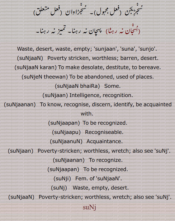  suNjaan, suNjaanan,   To recognize., suNjaapan, suNji, suNj, suNjaaN,  Poverty-stricken; worthless, wretch; also see 'suNj'.,
  suNj, سُونج  ,سُنج,ਸੁੰਜ, ਸੂੰਜ, suṇj, soonj,سونج  ,سنج,