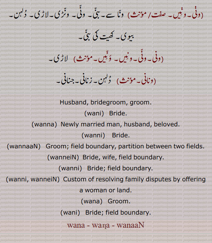 ਵਨਾਂ,ਵਨਾ, ونا, ونا, وناں بنا, دلہا, لاڑا, ون,ونی اونیں  بنی, دلہن,ونی,وناں,ونیں,ونانی, دلہن,زنانی,جنانی,,Husband, bridegroom, groom, wani, wanna, wanni, wannaaN, wanneiN, wanni,wanni, wanneiN, wana, wani, wana, wana , wanaaN