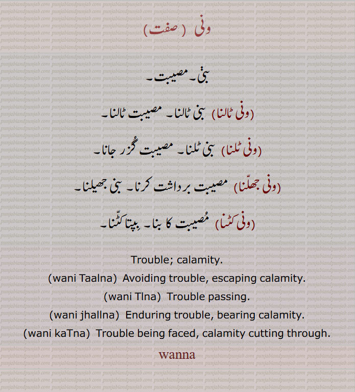 ਵਨਾਂ,ਵਨਾ,ونی,بنی,مصیبت,, ونی ٹالنا,  بنی ٹالنا, مصیبت ٹالنا,, ونی ٹلنا,ونی جھلنا,ونی کٹنا,Trouble; calamity,wani Taalna,wani Tlna, wani jhallna,wani kaTna,wanna