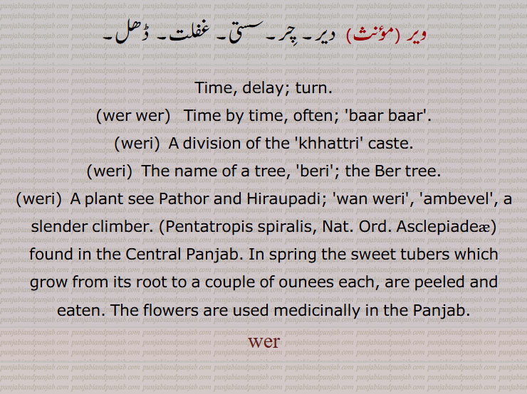  ویر ,دفعہ, مثلاً  کئی ویر بمعنی کئی دفعہ, ویل, واری, باری,وار, موقع, سما,,ویر اویر, ویلا کویلا,,ویر اویر,ویراں,ویر ویر,ویری, دفعہ, ویلی, باری, کھتریوں کی ایک گوت,, امبیول,ایک درخت کا نام,دیر, چر,سستی, غفلت, ڈھل,, Time, delay; turn, wer wer, weri,weri, The name of a tree, 'beri'; the Ber tree, weri,Pentatropis spiralis, ویر ,wer,ਵੇਰ, ਵੇਡ਼ੀ,ویری, 