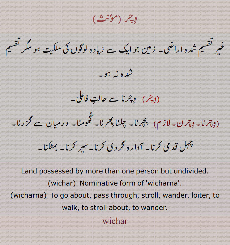 وِچر, غیر تقسیم شدہ اراضی۔ زمین جو ایک سے زیادہ لوگوں کی ملکیت ہو مگر تقسیم شدہ نہ ہو,وِچرنا,وِچرن, Land possessed by more than one person but undivided, wicharna, wichar,  vichar,وِچر,ਵਿਚਰ,ਵਿਚਰਨਾ,