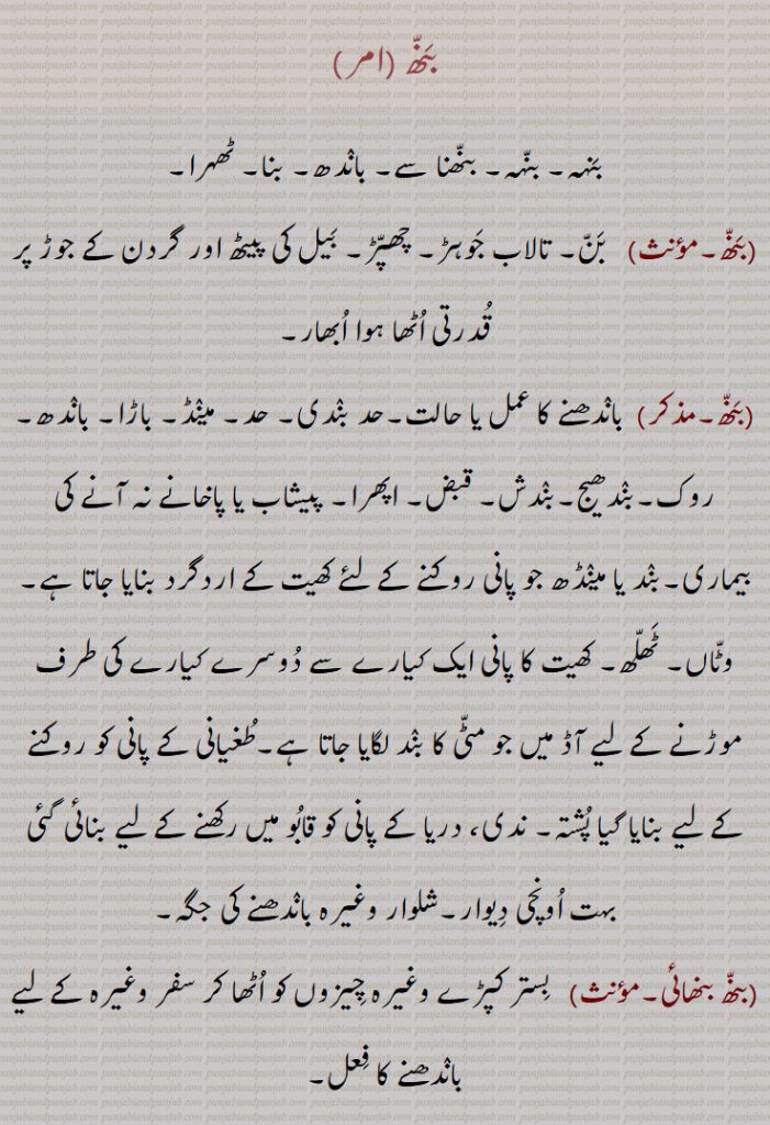 بنھ ,بنہہ, بنہہ, بنھنا سے, باندھ, بنا, ٹھہرا, بن, تالاب جوہڑ, چھپڑ, بیل کی پیٹھ اور گردن کے جوڑ پر قدرتی اٹھا ہوا ابھار, باندھنے کا عمل یا حالت,حد بندی, حد, میںڈ, باڑا, باندھ,روک,بندھیج,بندش, قبض, اپھرا, پیشاب یا پاخانے نہ آنے کی بیماری,بند یا مینڈھ جو پانی روکنے کے لئے کھیت کے اردگرد بنایا جاتا ہے,وٹاں, ٹھلھ, کھیت کا پانی ایک کیارے سے دوسرے کیارے کی طرف موڑنے کے لیے آڈ میں جو مٹی کا بند لگایا جاتا ہے,طغیانی کے پانی کو روکنے کے لیے بنایا گیا پشتہ, ندی، دریا کے پانی کو قابو میں رکھنے کے لیے بنائی گئی بہت اونچی دیوار,شلوار وغیرہ باندھنے کی جگہ,بنھ بنھائی