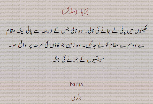  بِرہ , بِرّہ ,ਬੀਰਹਾ,ਬਰਹਾ, barrah, barha, 
برہ