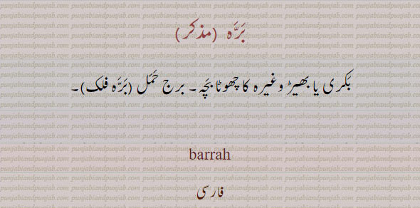  بِرہ , بِرّہ ,ਬੀਰਹਾ,ਬਰਹਾ, barrah, barha,
برہ