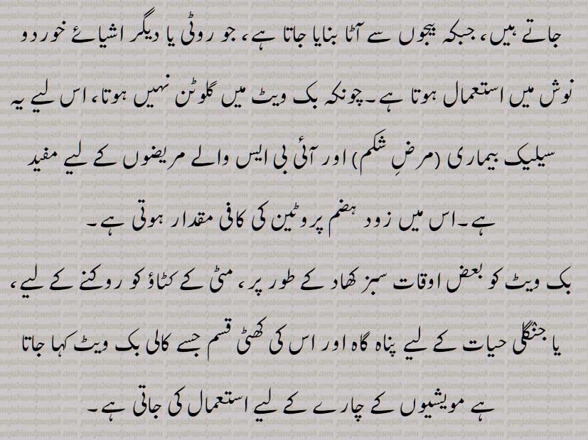 برؤ, دڑؤ ,دیلار,گندم سیاہ,کٹو, گندم گاوی, گندم راش, راش‌گندم,گندم کنگن, بھورا آٹا,اوگل, بک ویٹ , Buck-wheat, brau, drau, phaphra, kultu, kathu, phapar, garo, kotu,  kuktu, ogal, kulti, kathu, bv crau, doron, kaadu godhi, Fagopyrum esculentum  , brau, drau, ਦੜਊ, ਦਡ਼ਊ, darau , ogal,  ਓਗਲ, daraoo, ਦਡ਼ਊ, ਉਗਲ ,ugal, ਬਰਊ, برؤ