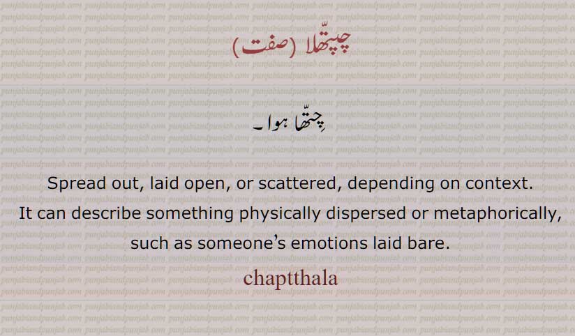چپتھلا , چِتھا ہوا, Spread out, laid open, or scattered, chaptthala, ਚਪੱਤ੍ਹਲਾ,