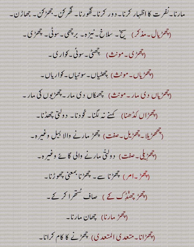 چھڑ,برچھی کا ڈنڈا,مور کا پر,دھات یا لکڑی کا پتلا ڈنڈا, تولا,بڑی مدھانی وغیرہ کا ڈنڈا, بانس کی پتلی لکڑی,دولتی، خصوصاً مویشی کی پچھلی پتلی ٹانگ کی, پچھنڈ, چھڑ پاٹ, چھڑکھانا, چھڑیال, چھڑاں,  چھڑ مارنا,چھڑاں مارنا, چھڑاں کڈھنا, چھھڑیلا,چھڑیل, چھڑیلی, چھڑ چھنڈک کے , چھڑ مارنا, چھڑانا, چھڑائی, چھڑنا, چھڑیجنا, چھڑ وجن,چھڑاونا, چھڑلا, چھڑوانا, چھڑیال, چھڑی, چھڑیاں, چھڑیاں دی مار, چھڑین, چھڑیون, چھڑ, چھڑ پلتا, چھڑ پلیا, چھڑ چھریلا, چھڑ گڈی, چھڑیلا,