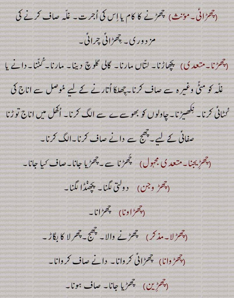 چھڑ,برچھی کا ڈنڈا,مور کا پر,دھات یا لکڑی کا پتلا ڈنڈا, تولا,بڑی مدھانی وغیرہ کا ڈنڈا, بانس کی پتلی لکڑی,دولتی، خصوصاً مویشی کی پچھلی پتلی ٹانگ کی, پچھنڈ, چھڑ پاٹ, چھڑکھانا, چھڑیال, چھڑاں,  چھڑ مارنا,چھڑاں مارنا, چھڑاں کڈھنا, چھھڑیلا,چھڑیل, چھڑیلی, چھڑ چھنڈک کے , چھڑ مارنا, چھڑانا, چھڑائی, چھڑنا, چھڑیجنا, چھڑ وجن,چھڑاونا, چھڑلا, چھڑوانا, چھڑیال, چھڑی, چھڑیاں, چھڑیاں دی مار, چھڑین, چھڑیون, چھڑ, چھڑ پلتا, چھڑ پلیا, چھڑ چھریلا, چھڑ گڈی, چھڑیلا,