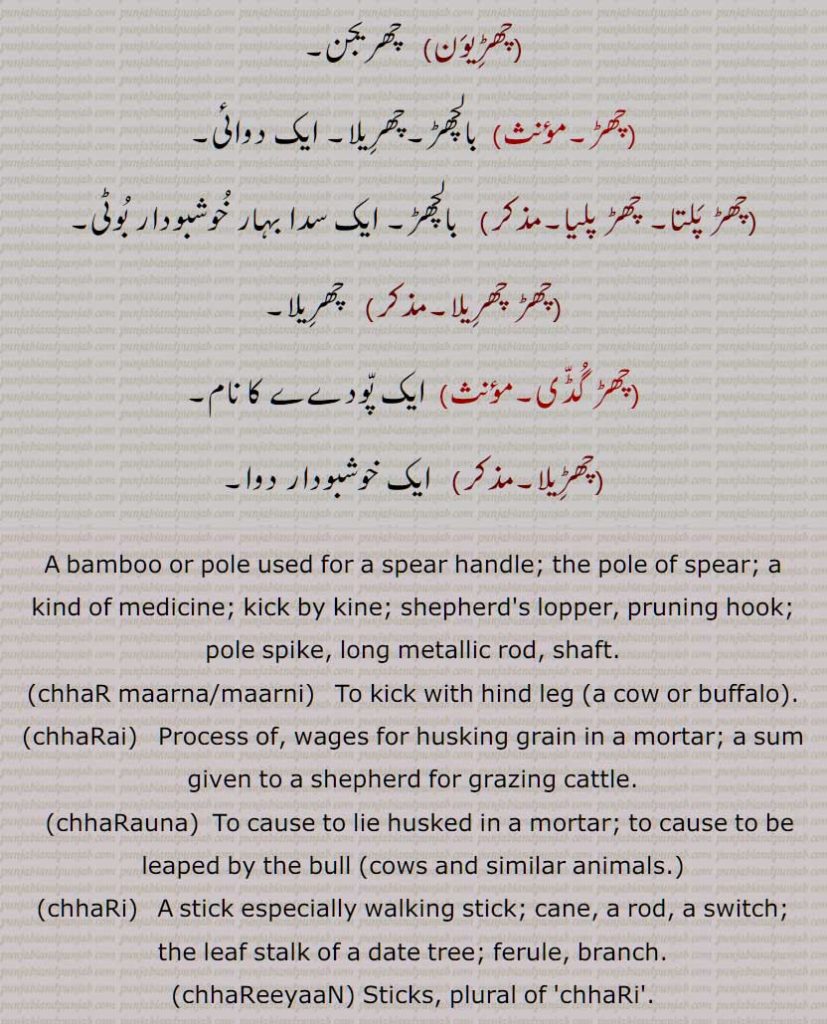 A bamboo or pole used for a spear handle; the pole of spear; a kind of medicine; kick by kine; shepherd's lopper, pruning hook; pole spike, long metallic rod, shaft, chhaR maarna, chhaR maarni, chhaRai, chhaRauna, chhaRi, chhaReeyaaN, chhaRila, chhaReeli, chhaRna, chhaR, chhaRaaN marna, chhaRna, chhaRwauna, chhaRauna, chhaRwai, chhuRan, chhaRguDDi, chhaRpalliya, chhaR,