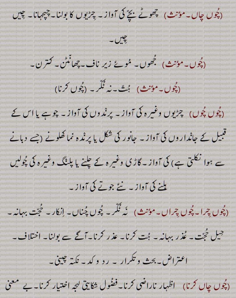 چوں,  جب,کب,کیسا, کیسے,جیسا, مانند, اس قسم کا, کیوں, اس وجہ سے کہ,, چوں چاں,چوں چرا,چوں چراں,, چوں چاں کرنا, چوں چگوں / چگونہ, چوں کرنا, چوں نہ کرنا, چوں چوں دا مربہ,