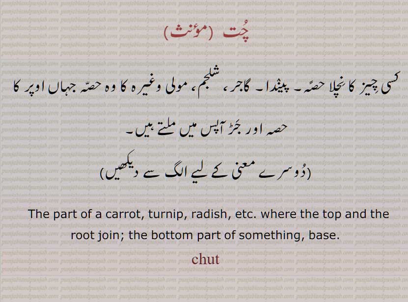 چُت  , پینٛدا, ,base.chut, ਚੁਤ
