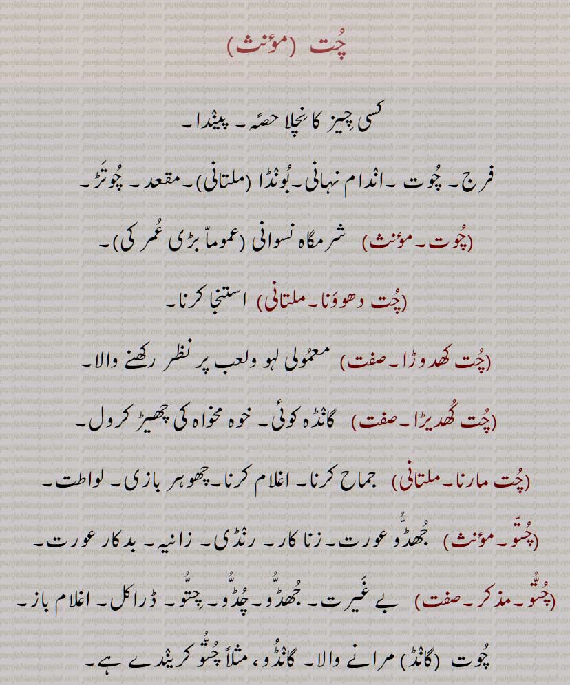 چت  , پیندا,چُت  , شرمگاہ نسوانی , فرج۔ چوت ۔اندام نہانی۔بونڈا ۔مقعد۔,base.chut, ਚੁਤ,, ਚੂਤ, chut, choot, chutia, ਚੂਤੀਆ chootia ,ਚੁੱਤ chutt , ਚੁੱਤੋ chutto , ਚੁੱਤੂ, chuttu,chuttoo, ਚੂਤਯਾ ,chutya,chooty,