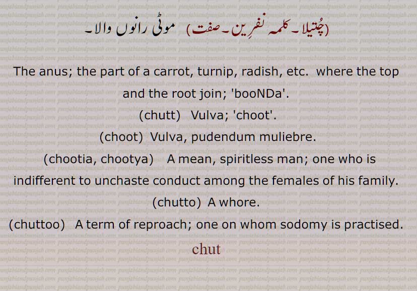 چت  , پیندا,چُت  , شرمگاہ نسوانی , فرج۔ چوت ۔اندام نہانی۔بونڈا ۔مقعد۔,base.chut, ਚੁਤ,, ਚੂਤ, chut, choot, chutia, ਚੂਤੀਆ chootia ,ਚੁੱਤ chutt , ਚੁੱਤੋ chutto , ਚੁੱਤੂ, chuttu,chuttoo, ਚੂਤਯਾ ,chutya,chooty,