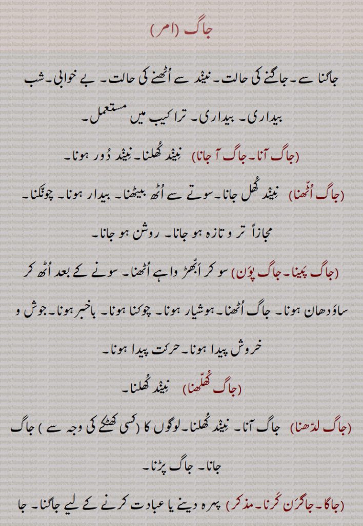 جاگ , جاگنا سے,جاگنے کی حالت, بے خوابی, بیداری, جاگ آنا,جاگ آ جانا , جاگ اٹھنا    ,جاگ پینا,جاگ پون, جاگ کھلھنا, جاگ لدھنا, جاگا,جاگرن کرنا,