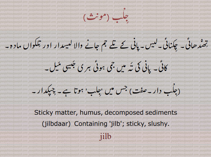 جلب ,تھندھائی, چکنائی,لیس ,جلب دار, Sticky matter, humus, decomposed sediments, jilbdaar, jilb, ਜਿਲਬ, ਜਿਲਬਦਾਰ,