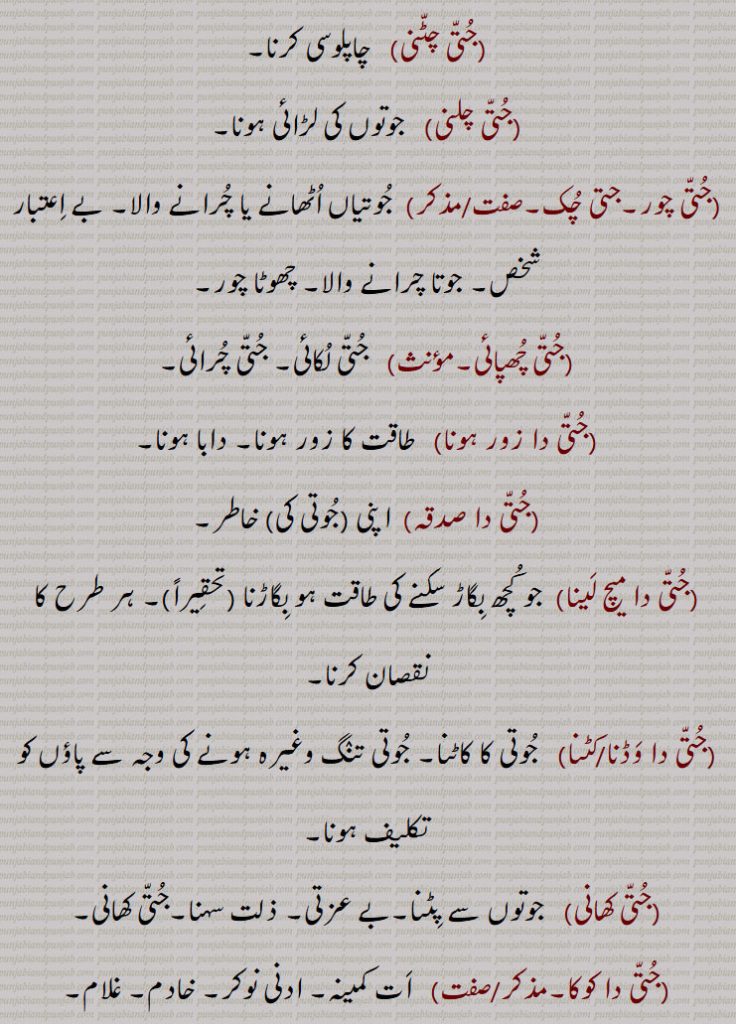 ,جتی چھپائی,جتی دا زور ہونا,جتی دا صدقہ,جتی دا میچ لینا,جتی دا وڈنا,جتی کٹنا,جتی کھانی,جتی دا کوکا,,جتی دی مار