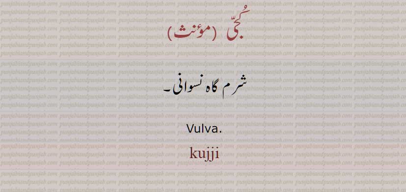 kujji, slang،ਕੁੱਜੀ، ۔کجی