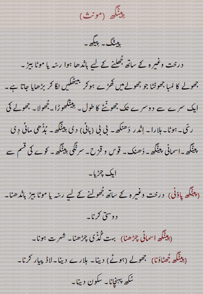 پینگھ  , پینگ, پیگھ,درخت وغیرہ کے ساتھ جھلنے کے لیے باندھا ہوا رسہ یا موٹا بیڑ,
 جھولے کا لمبا جھونٹا جو جھولےمیں کھڑے ہوکر بیٹھکیں لگا کر بڑھایا جاتا ہے,ایک سرے سے دوسرے تک جھونٹے کا طول, پینگھوڑا,جھولا, جھولے کی رسی,ہوٹا,ہلارا, اندر دھنکھ, بی بی (بائی) دی پینگھ, بڈھی مائی دی پینگھ,اسمانی پینگھ,دھنک, قوس و قزح,سرنگی پینگھ, کوے کی قسم سے ایک چڑیا,پینگھ پاؤنی, پینگھ اسمانی چڑھنا, پینگھ جھٹاونا, پینگھ جھٹائی, پینگھ جھوٹنا, پینگھ جھوٹنی,پینگھ چڑھنا, پینگھ پلارے تے ہونا, پینگھا, پیگھا, پینگھڑا, پینگھنا, پینگھوڑا, پینگھ ودھانا, لما ہلارا لینا,