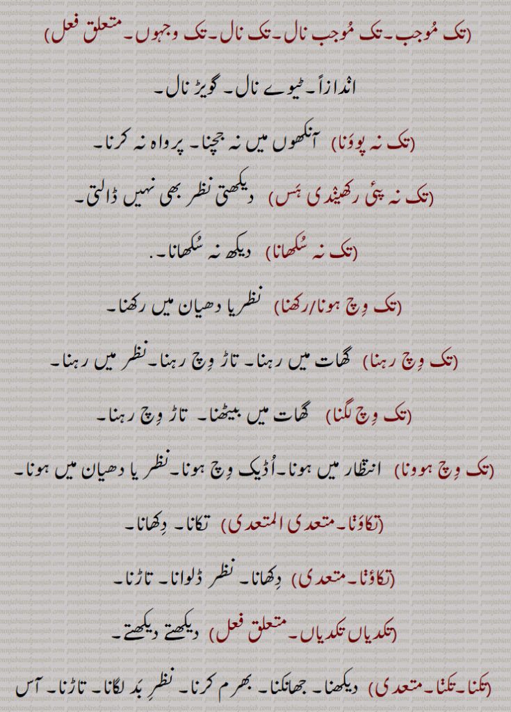 ,تک نہ سکھانا,تک وچ ہونا,تک وچ ہونا رکھنا,تک وچ رہنا,تک وچ لگنا,تک وچ ہوونا,تکاونا,تکاؤنا,تکدیاں تکدیاں,تکنا,تکنی,تکونا,تکنیاں تکنیاں,تکونا,تکی,تکی نہ سنی نہ,تکینیاں تکینیاں,