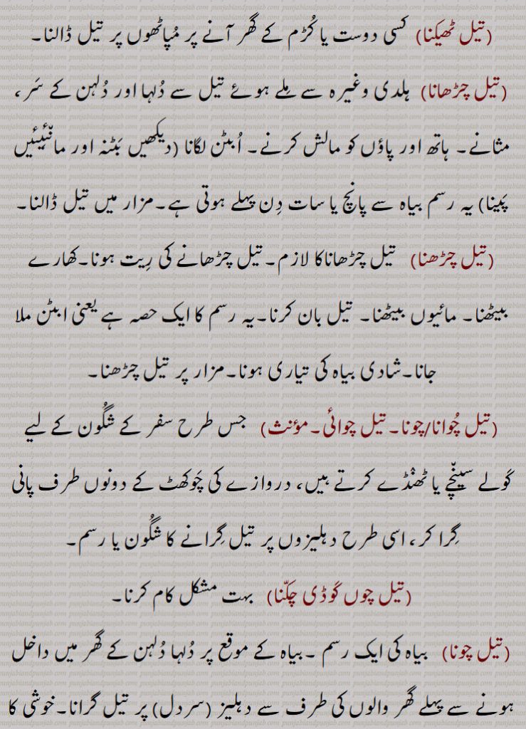 , ایک قسم کا چکنائی دار مائع یا روغن جو عموماً نباتات سے نکالا جاتا ہے کھانے میں اور بطور دوا استعمال ہوتا ہے,روغن جو جانوروں کی چربی پگھلا کر نکالا جائے,وہ مائع جو زمین کھود کر نکالا جاتا ہے،