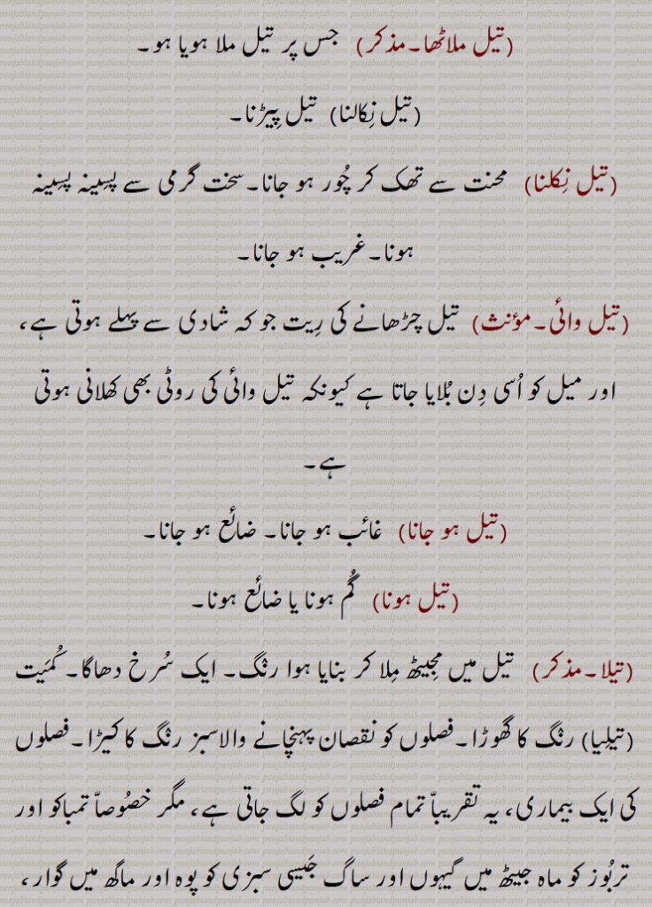 ، تیل آلودہ، میلا تیل جیسا,
تیل انجن,تیل پمپ,تیل پھل,تیل ٹھیکنا,تیل چڑھانا,تیل چڑھنا,تیل چوانا,تیل چونا,تیل چوائی,