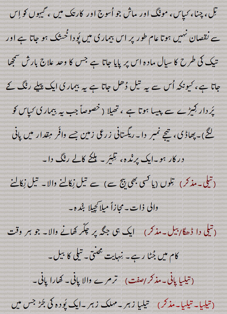 ,تیل چوں کوڈی چکنا,تیل چونا,تیل پیڑن,تیل دی کڑاہی وچ پینا,تیل زیتون,تیل فروش,تیل کڈھنا,تیل کر چھوڑنا,تیل گری,تیل لانا,تیل لگنا,تیل نچوڑنا,تیل ملاٹھا,