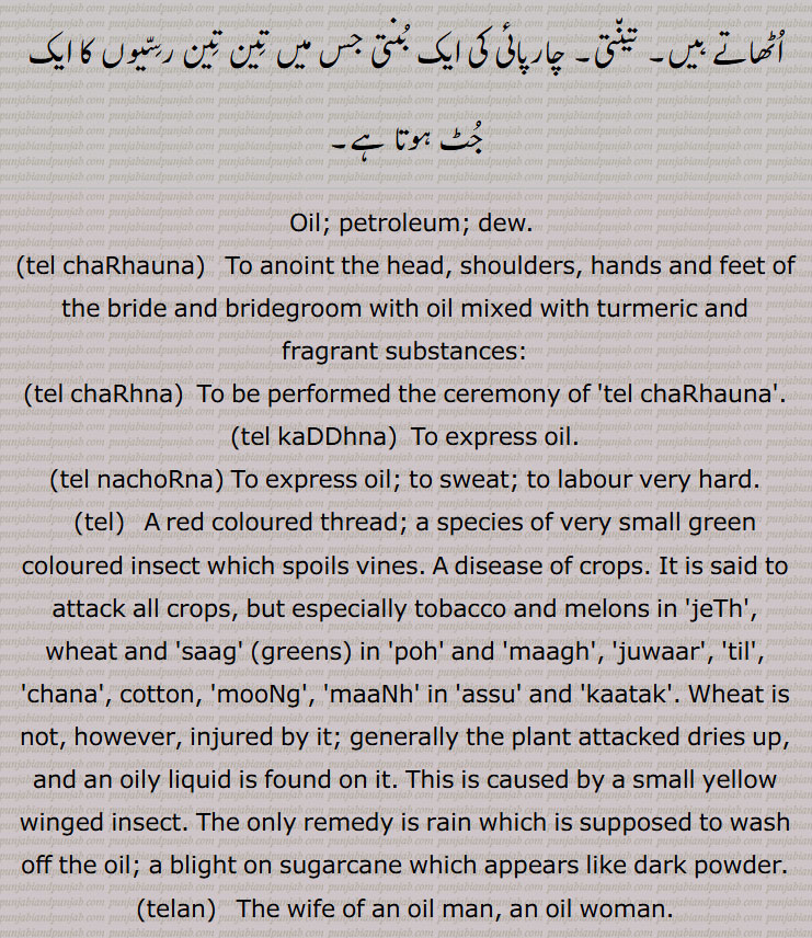 Oil; petroleum; dew, tel chaRhauna, tel chaRhna, tel kaDDhna, tel nachoRna, tel, telan, teli, teloo, teli, telia, telia/teliya buddh, telia raaja, telya, tel sodhak kaarkhana, tel kaDDhna, tel jieha, tellan, tel di tilkan, tel malna, tel warga, tel waala, tela, tel laggna, tela, tel,
